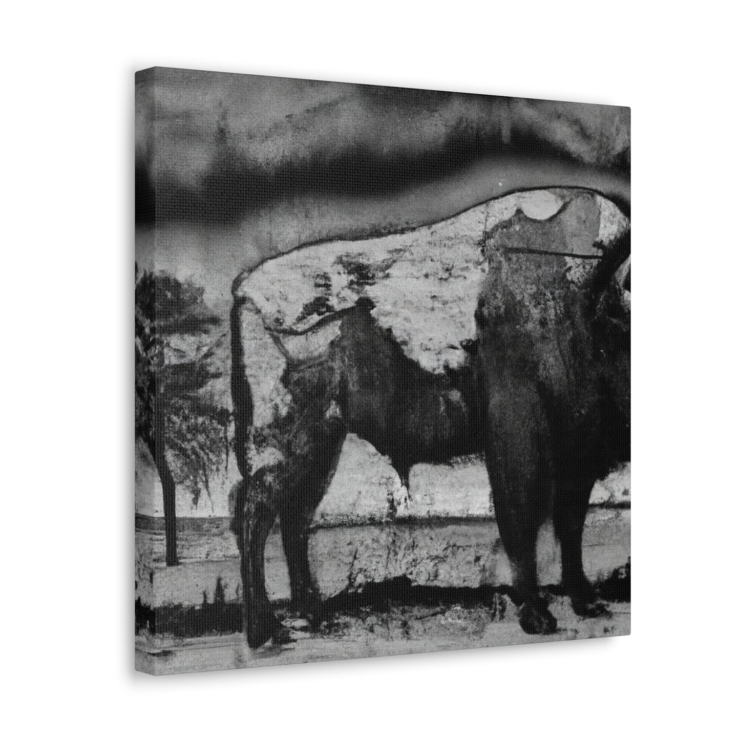 Bison on the Prairie - Canvas