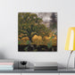 Oak Tree Fantasia - Canvas