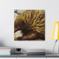 Echidna Dreamscape Scene - Canvas