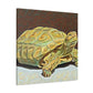 "Gorgeous Russian Tortoise" - Canvas