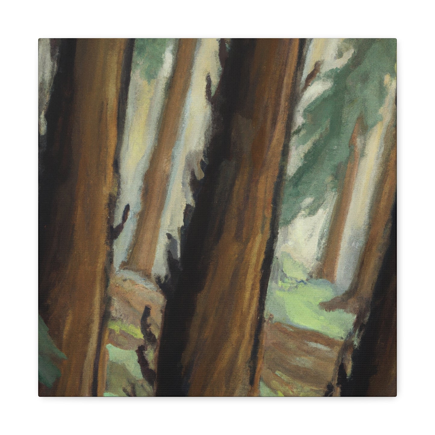 Redwood in Bloom. - Canvas