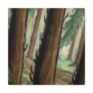 Redwood in Bloom. - Canvas