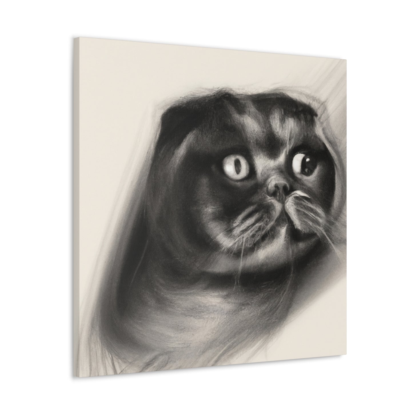 Scottish Fold Innocence - Canvas