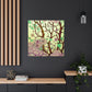 Cherry Blossoms Bloom - Canvas