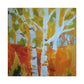 Birch Tree Reflection III - Canvas