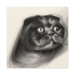 Scottish Fold Innocence - Canvas