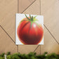 The Tomato's Vibrance - Canvas