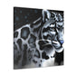 Clouded Leopard Majesty - Canvas