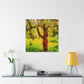 Apple Tree Dreamscape - Canvas