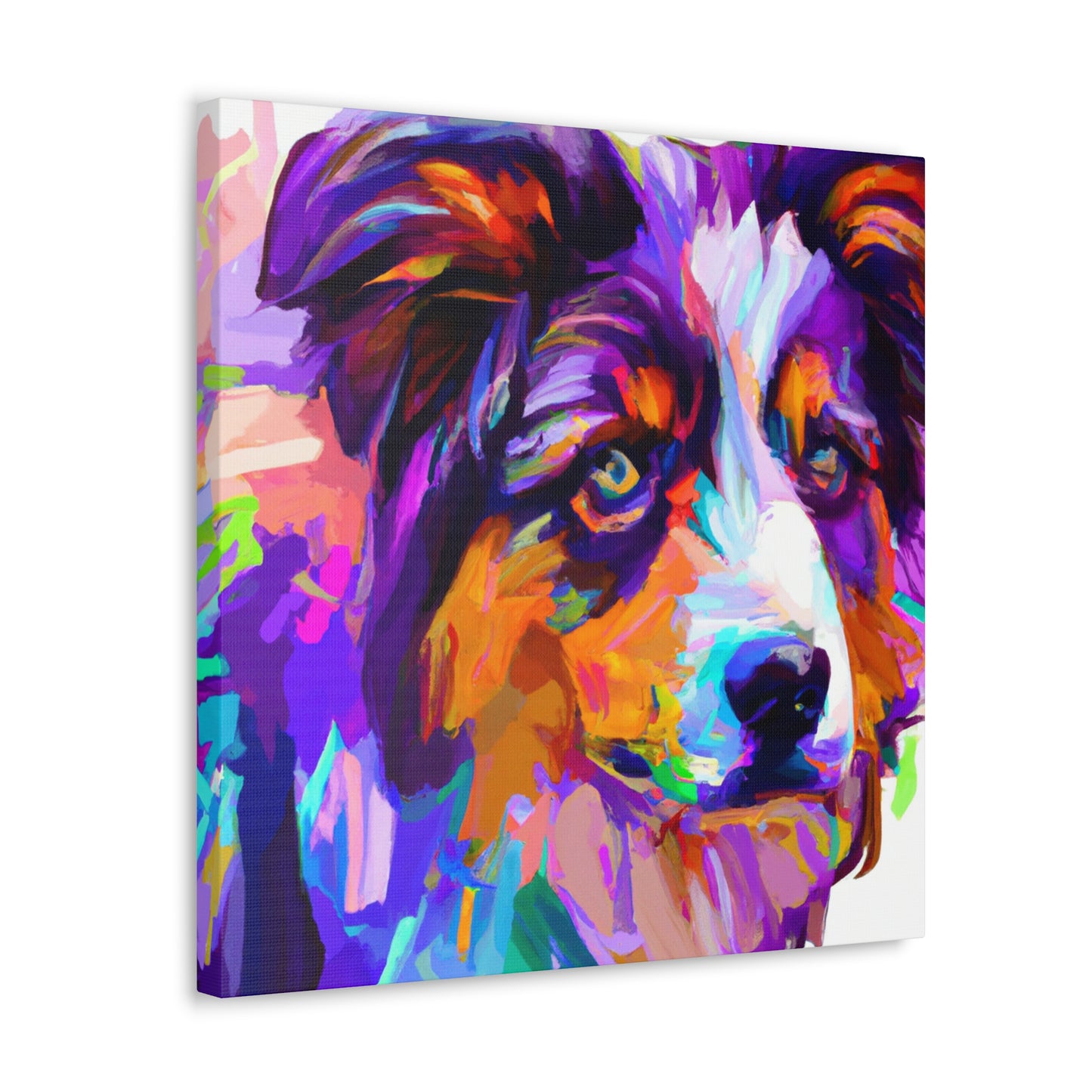 Australian Shepherd Reflection - Canvas