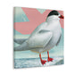 Arctic Tern Brilliance - Canvas