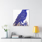 American Crow Portrait - Canvas