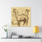 Alpaca Magnificence Abounds - Canvas