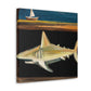 Shark Among Dreams - Canvas