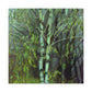 Birch Tree Impressionism - Canvas