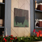 "Black Angus Reflection" - Canvas