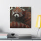 "A Red Panda Slumber" - Canvas