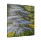 Cedar Tree Splendour - Canvas