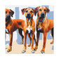 Rhodesian Ridgeback Reflection - Canvas