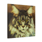 Maine Coon Majesty - Canvas