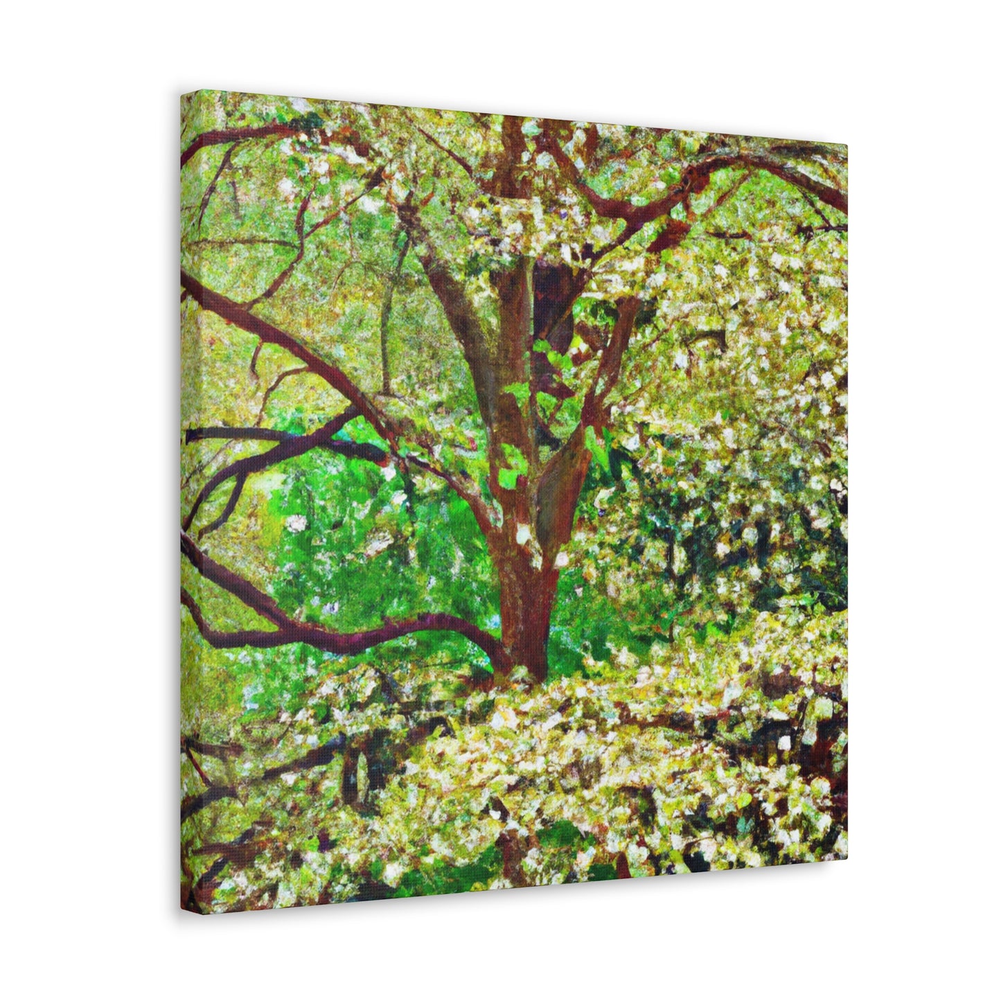 Dogwood in Bloom - Canvas