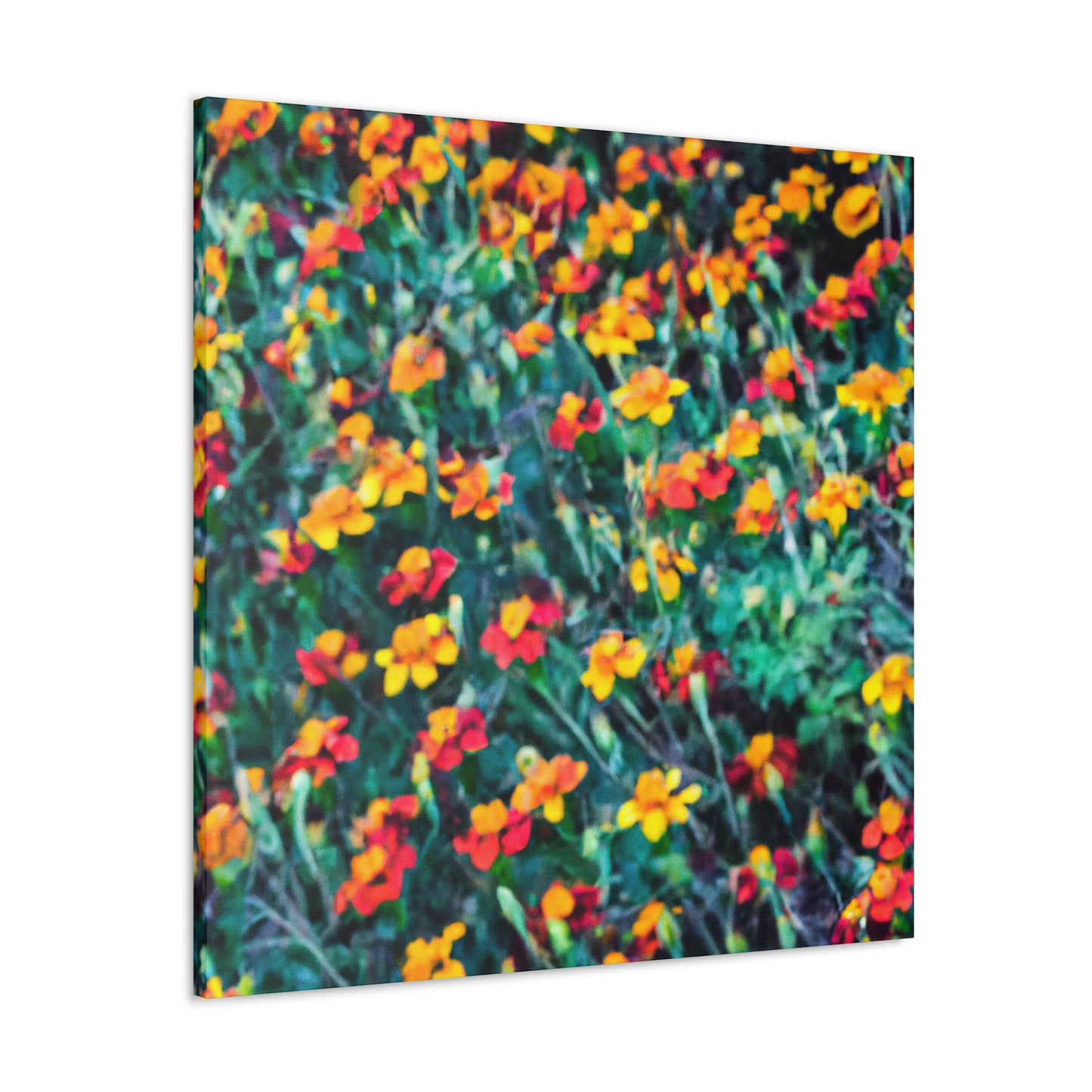 "Glorious Marigold Bloom" - Canvas