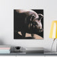 "Pot Belly Pig Euphoria" - Canvas