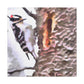 "Downy Woodpecker Impression" - Canvas