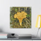 Chanterelle Impressionism - Canvas