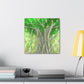 Banyan Tree Illusionist - Canvas