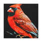 Northern Cardinal Splendor - Canvas