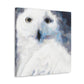 Snowy Owl Impressionism - Canvas