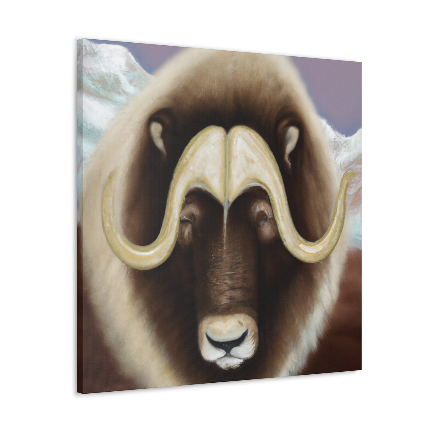 Musk Ox Majestic Power - Canvas