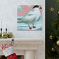 Arctic Tern Brilliance - Canvas