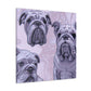 Bulldog in Abstraction - Canvas