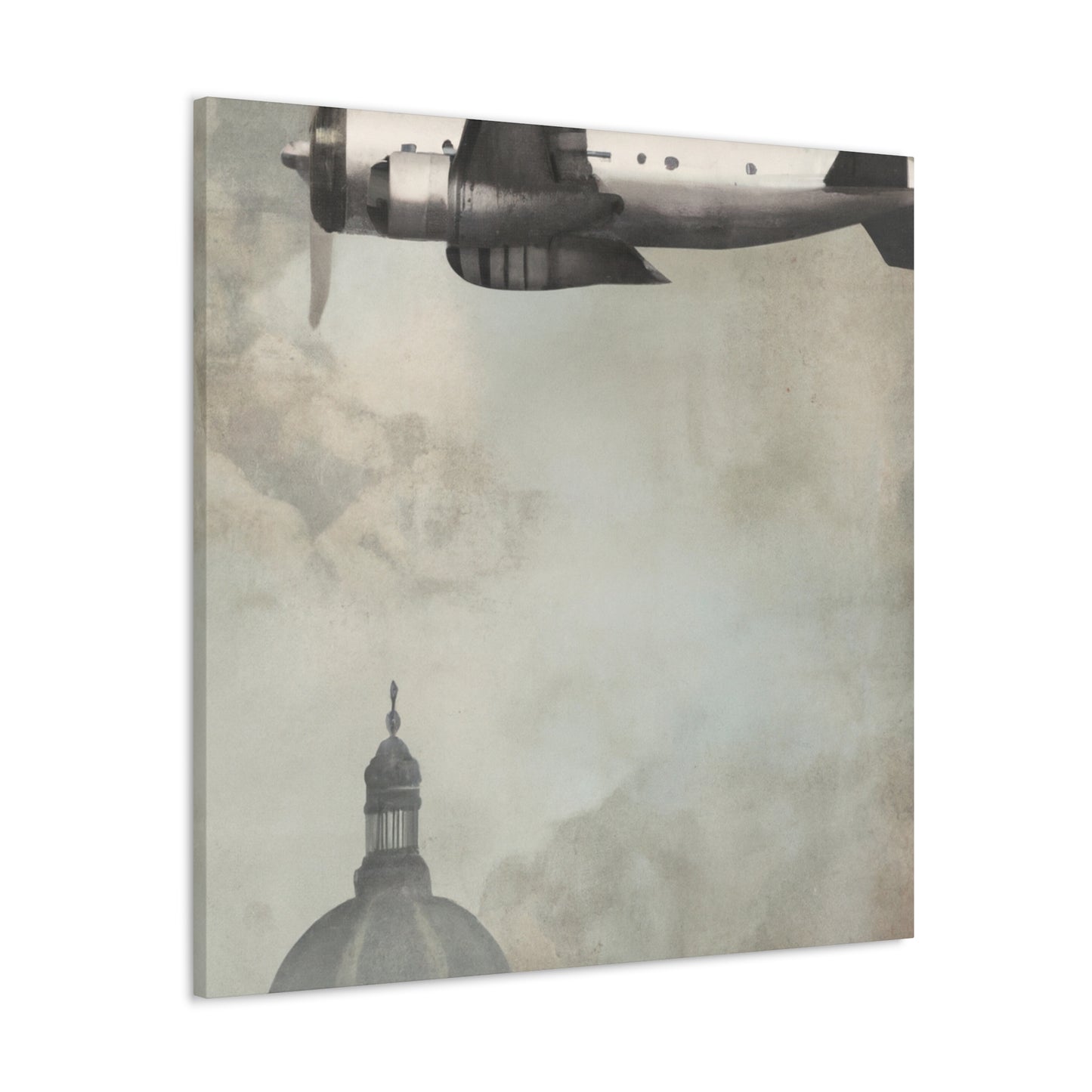 Aerial Flight Delight - Canvas