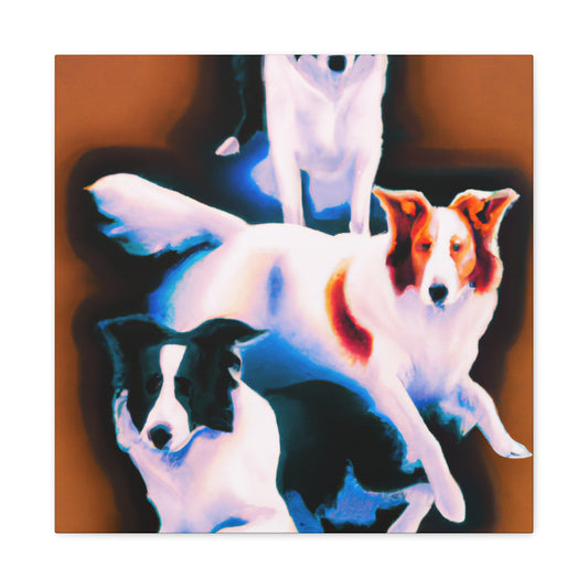 Border Collie Reflection - Canvas