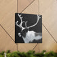 Reindeer in Realism - Canvas