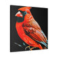 Northern Cardinal Splendor - Canvas