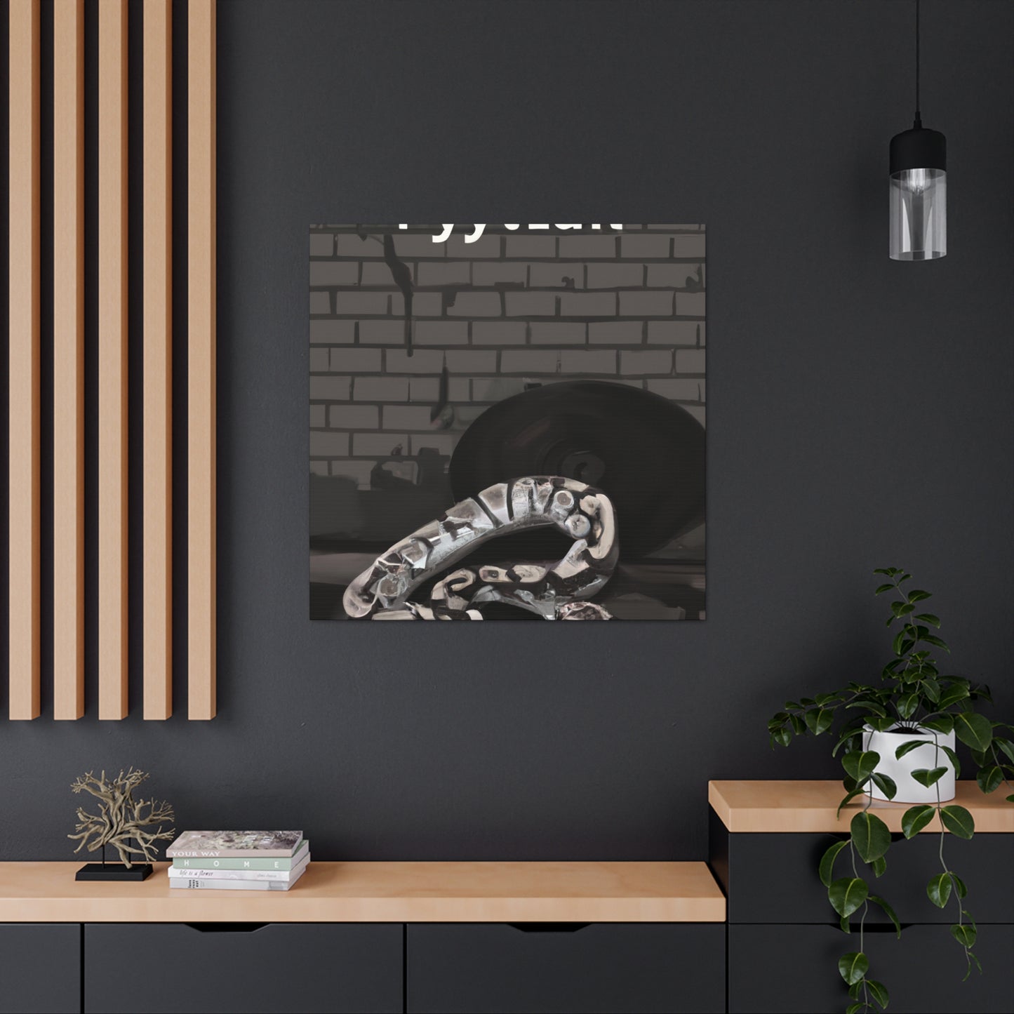 Python in Splendor - Canvas