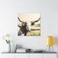 Texas Longhorns Reigning - Canvas