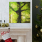 "Beech Tree, Serene Beauty" - Canvas