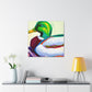 Mallard Duck Reflection - Canvas