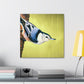 "White-breasted Nuthatch Bliss" - Canvas