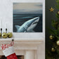 Great White Mystery. - Canvas