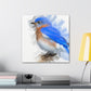 Divine Bluebird Beauty - Canvas