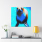 "Sea Lion By Sea." - Canvas