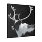 Reindeer in Realism - Canvas