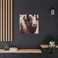 Musk Ox Splendor. - Canvas