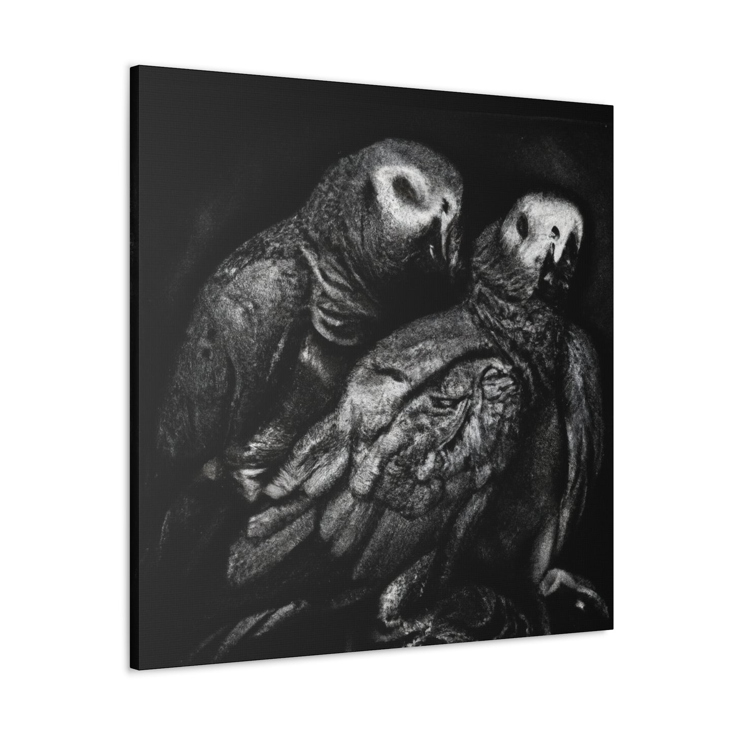 African Greys Regal - Canvas